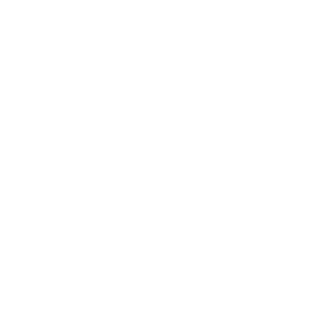 W3DN