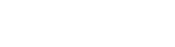 Dash